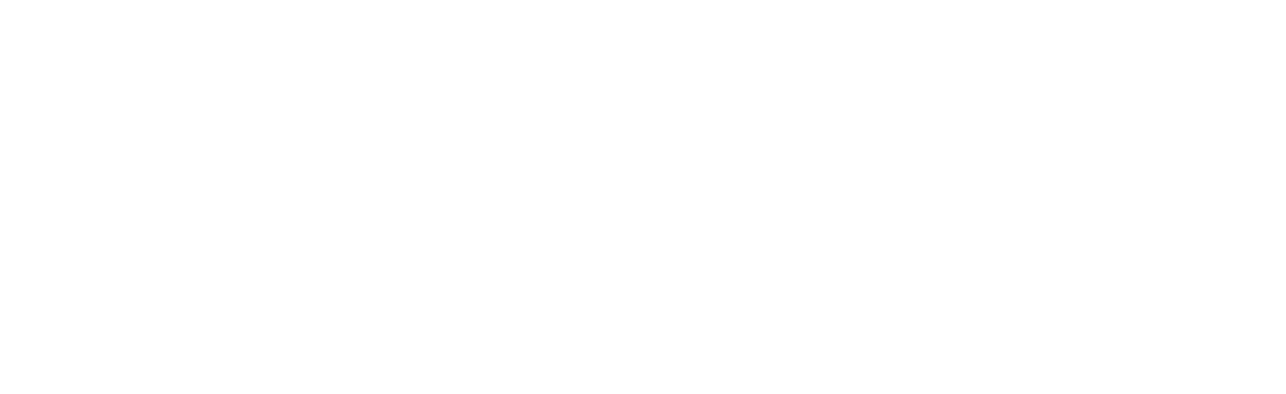 DualStag Logo